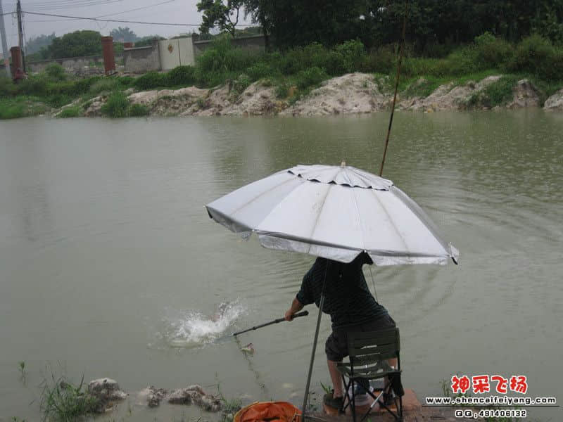 垂死挣扎的大非