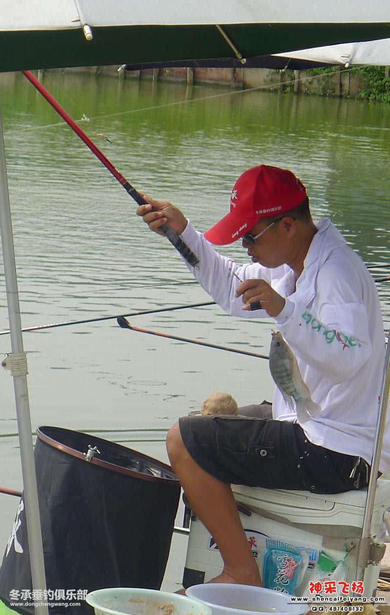 213127thh6z550h11g1t6g.jpg