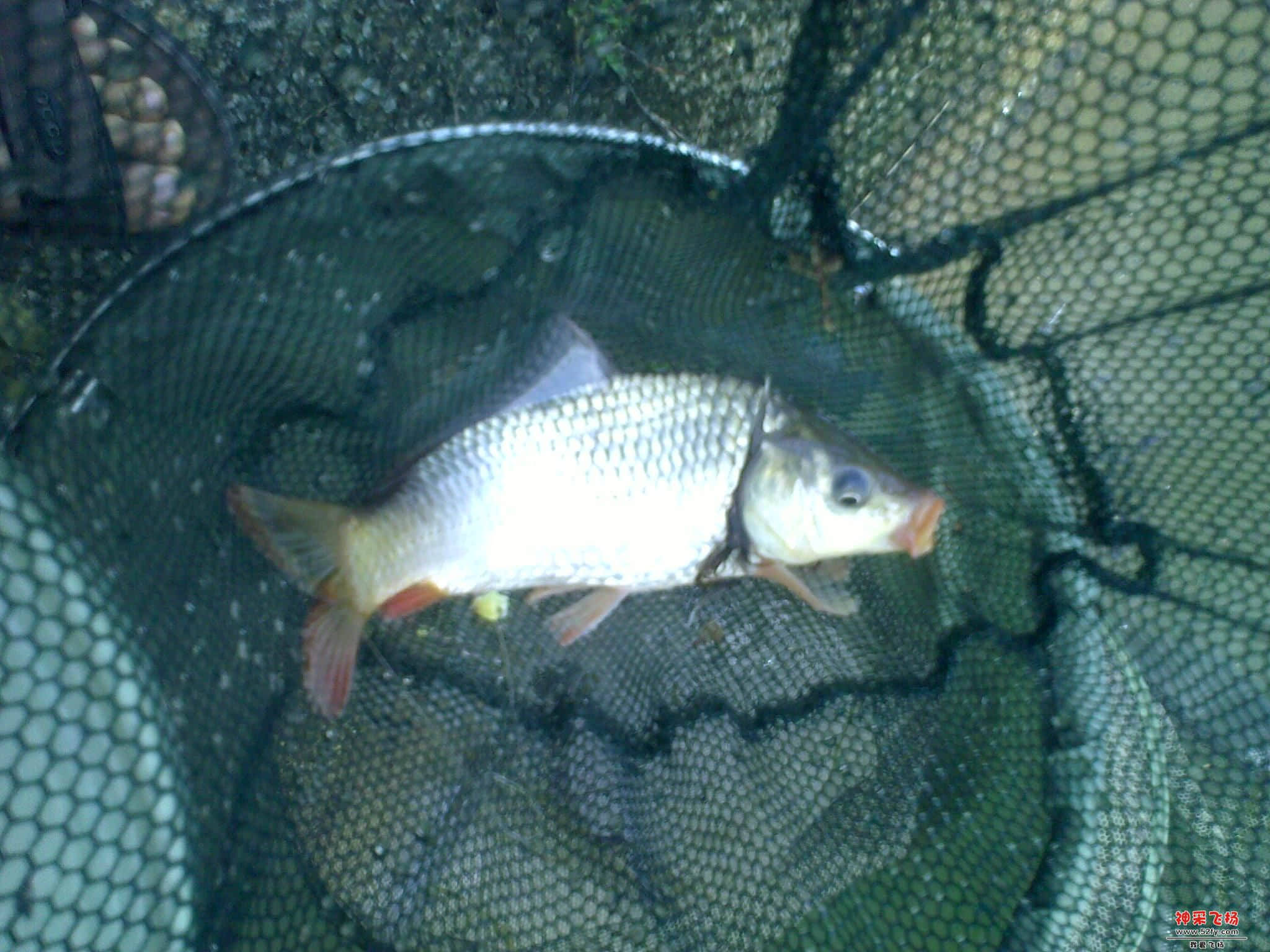 201207081944.jpg