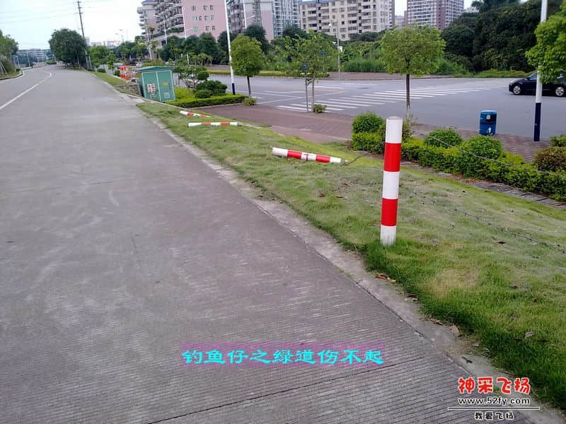 nEO_IMG_201207111708.jpg
