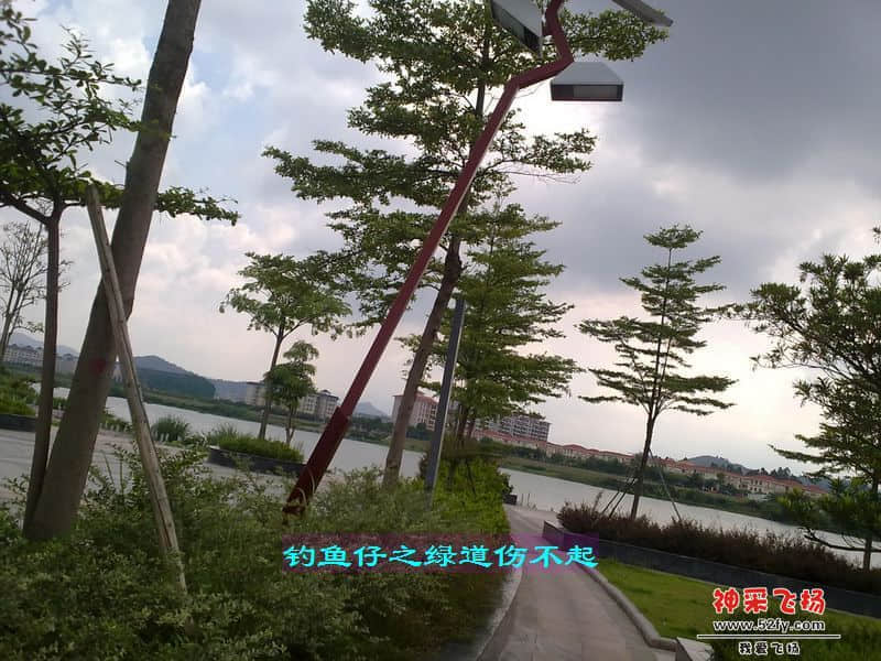 nEO_IMG_201207111711.jpg
