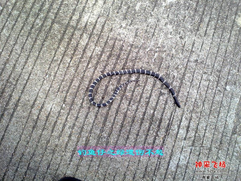 nEO_IMG_201207111730.jpg