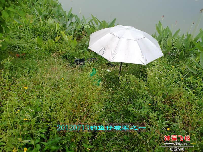 nEO_IMG_201207131743.jpg