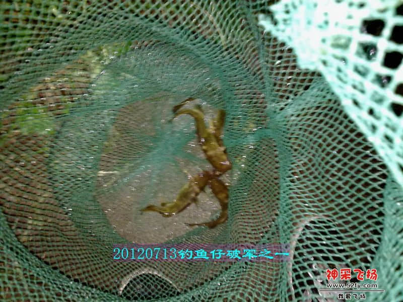 nEO_IMG_201207131747.jpg