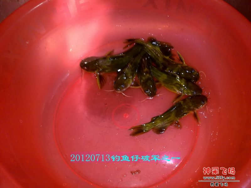 nEO_IMG_201207131749.jpg