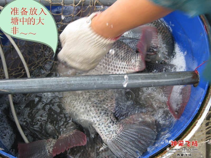 卸车.jpg