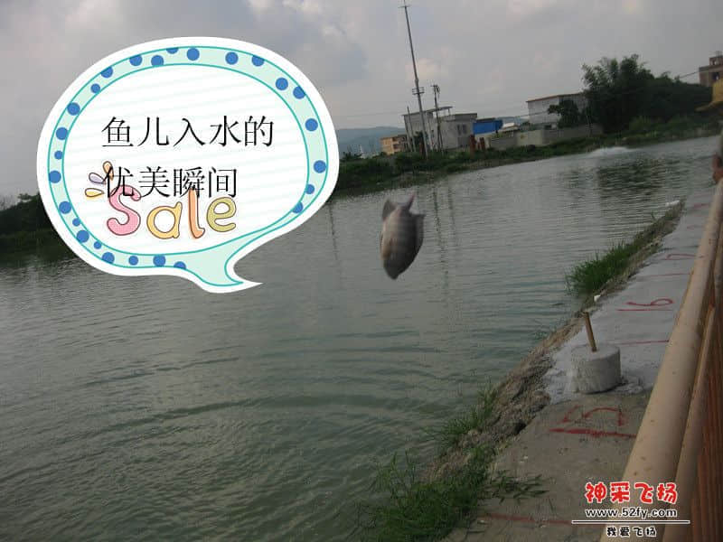 IMG_1561_副本.jpg