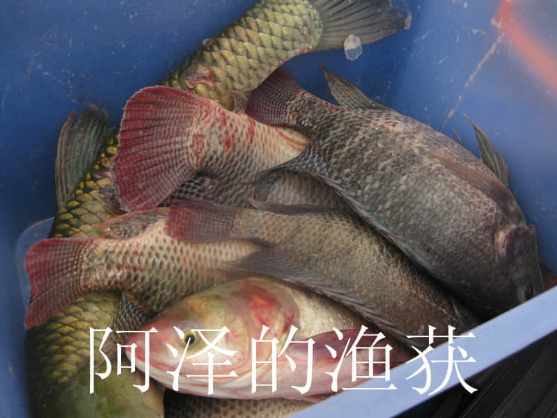 IMG_1584_副本.jpg
