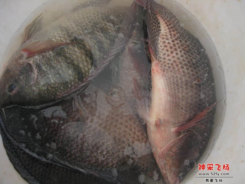 IMG_1591_副本.jpg