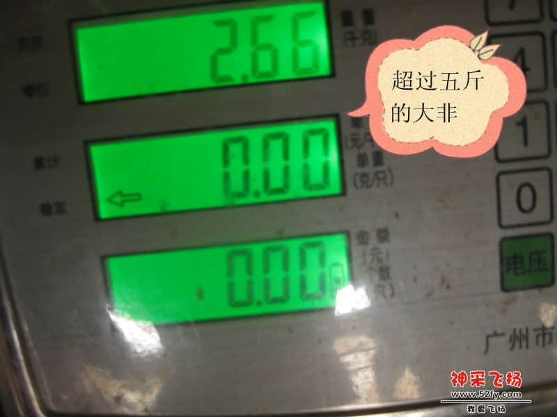 IMG_1594_副本.jpg