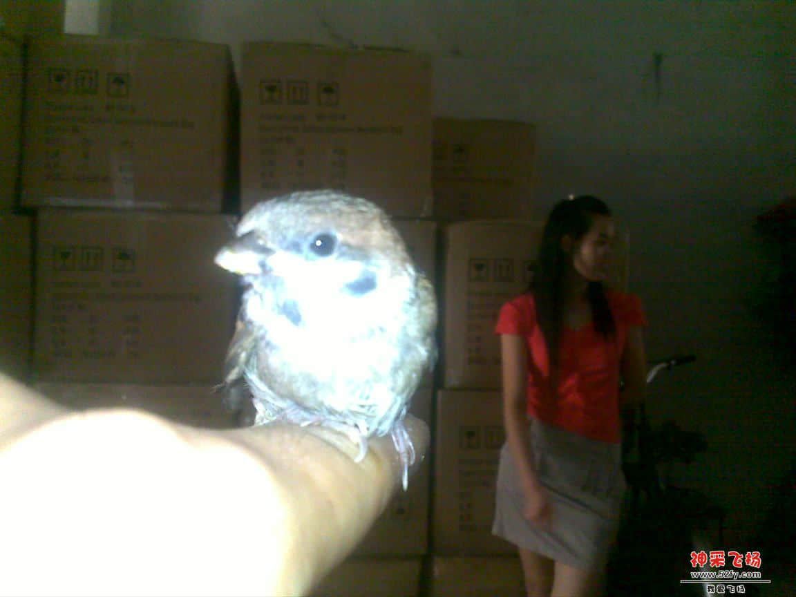 20120730299.jpg