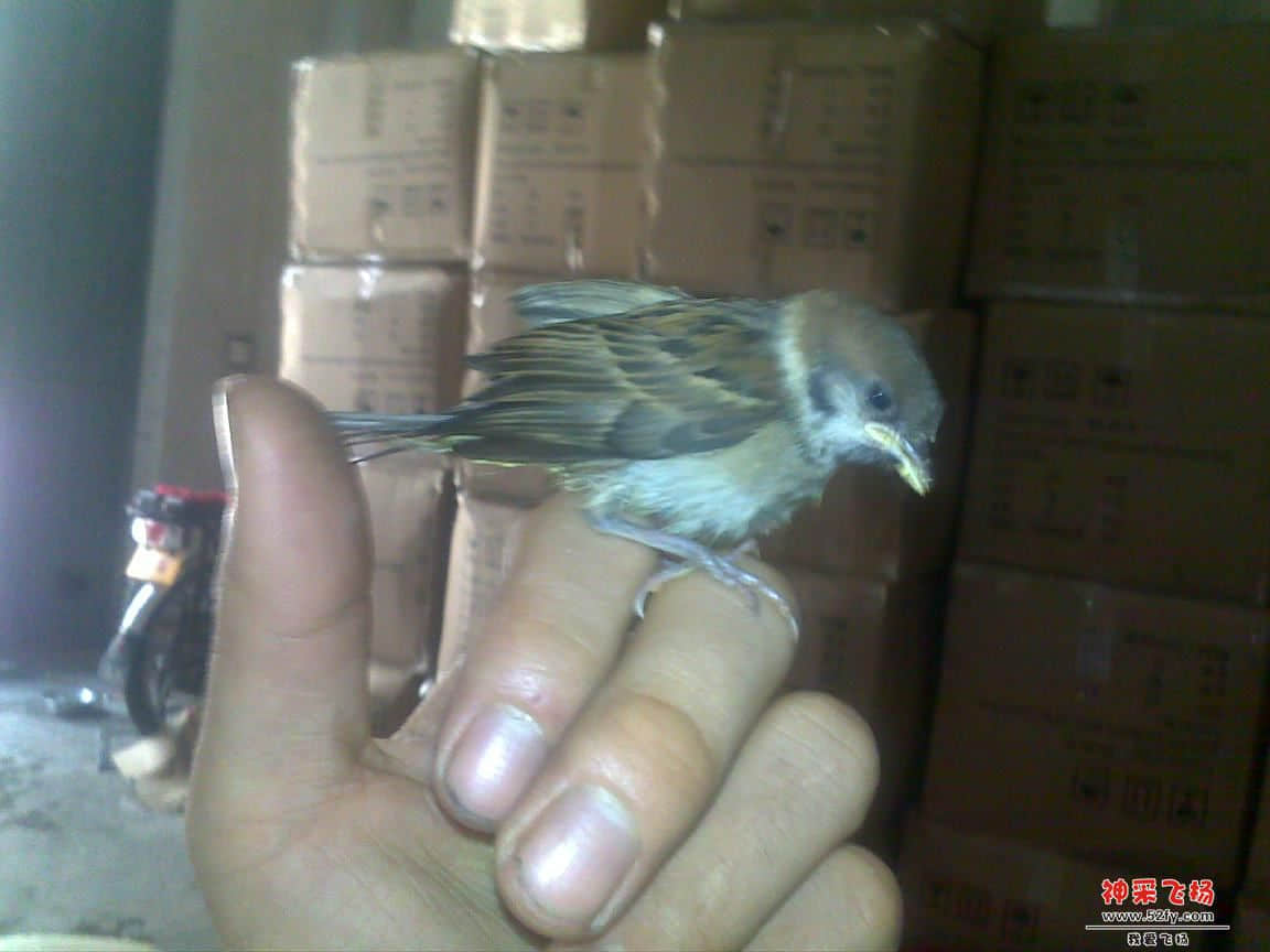 20120730304.jpg