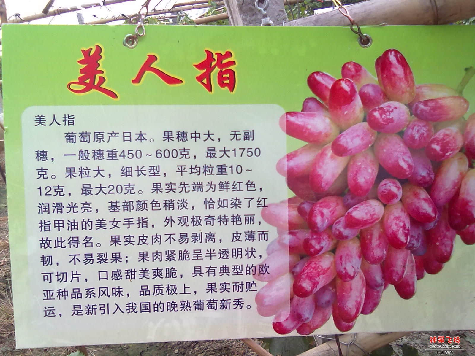 20120722326.jpg