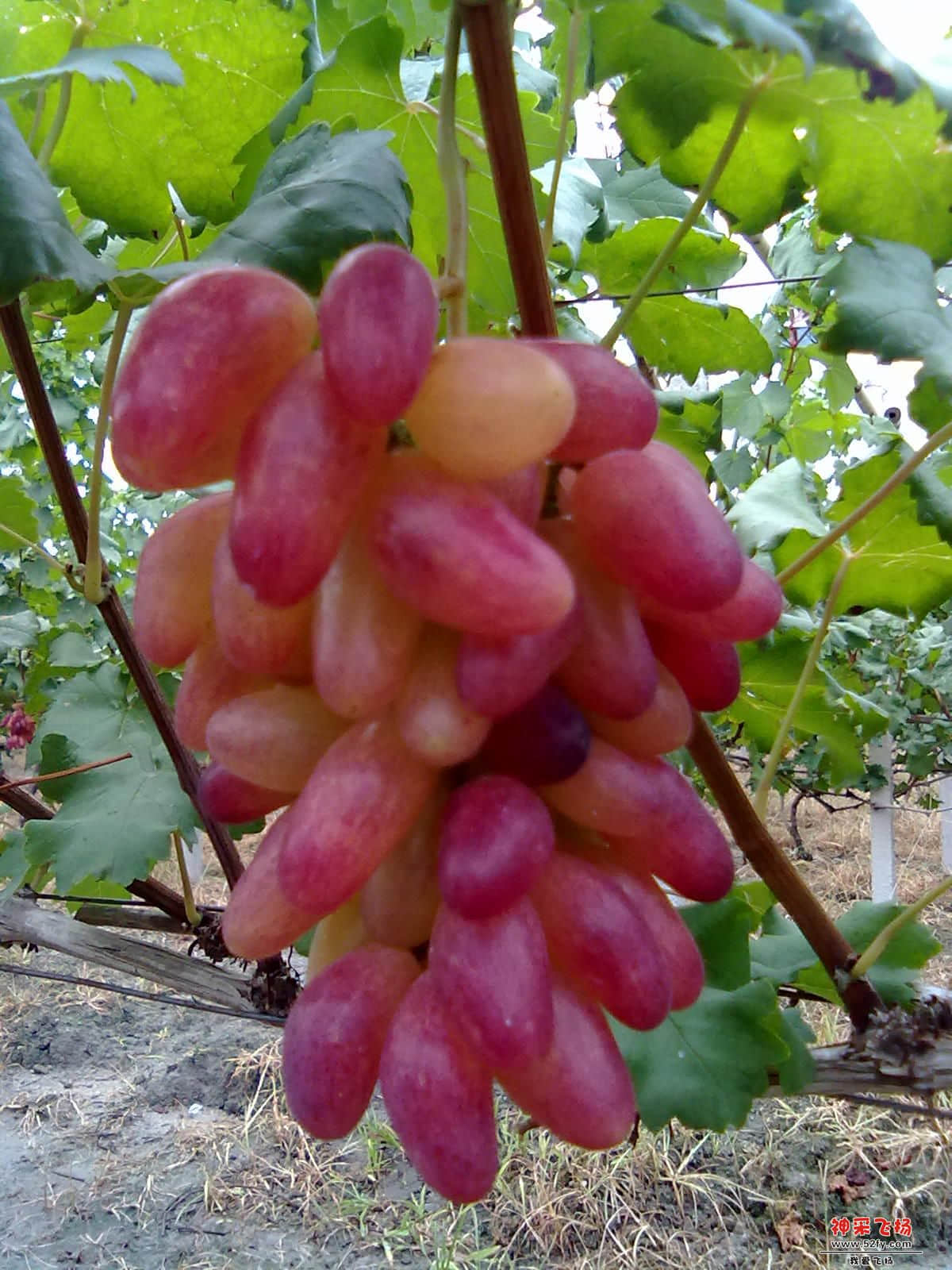 20120722331.jpg