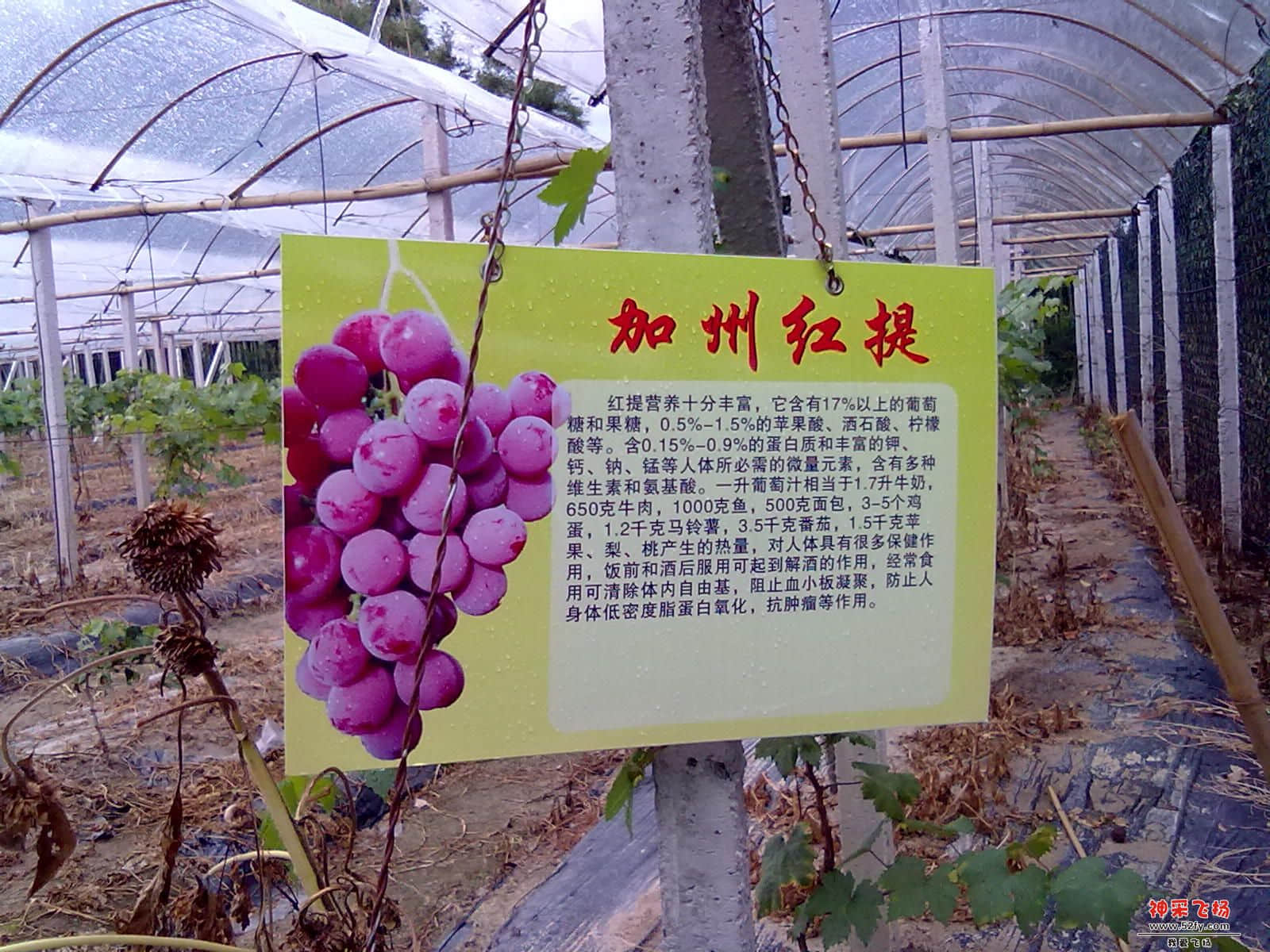 20120722339.jpg
