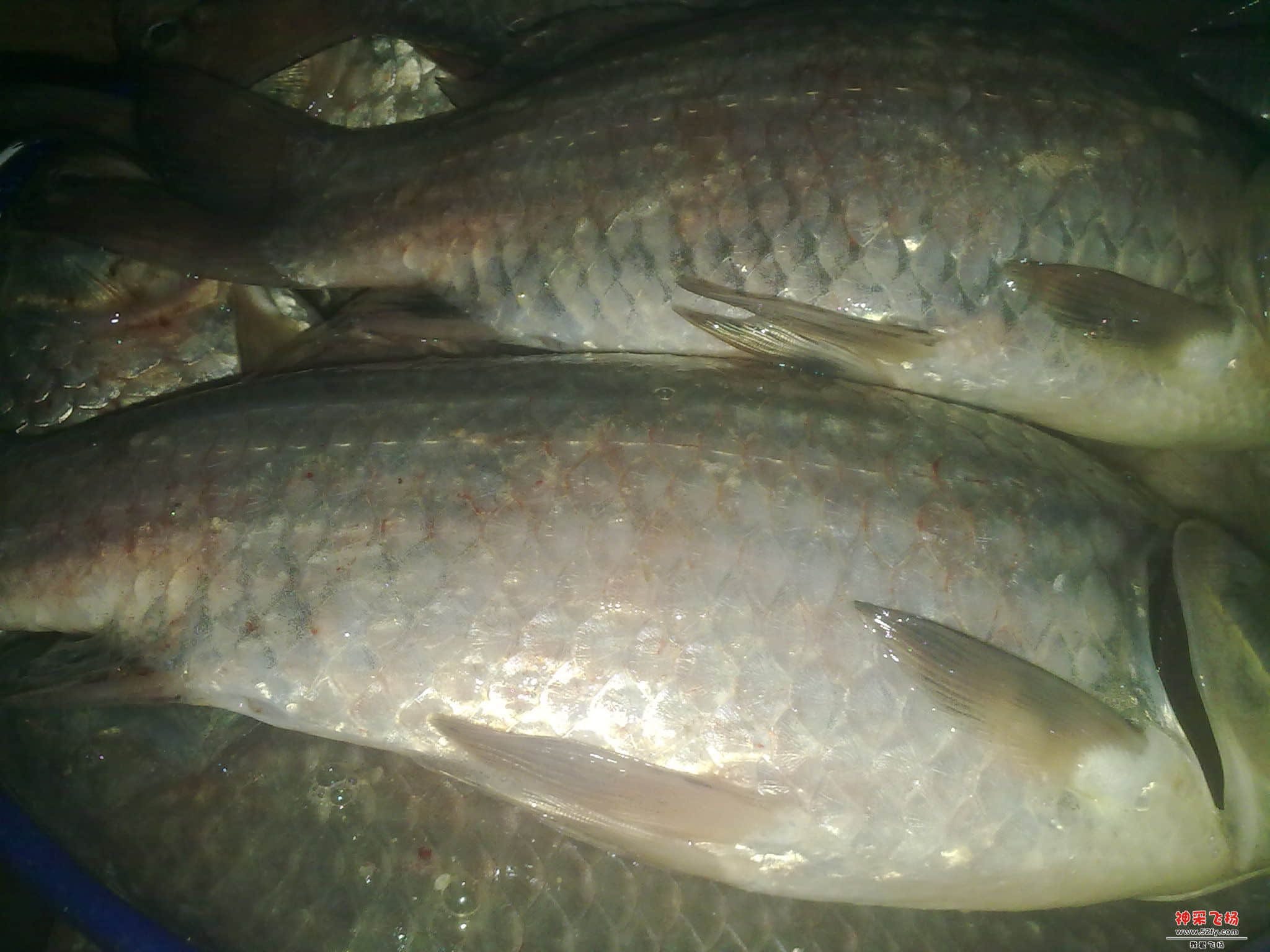 20120804070.jpg
