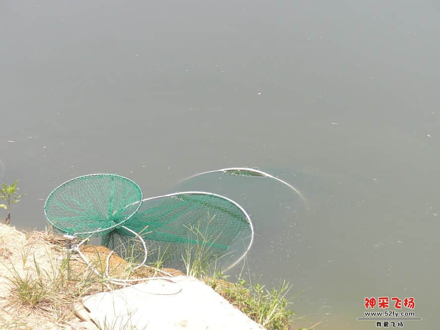 DSCN3567.JPG