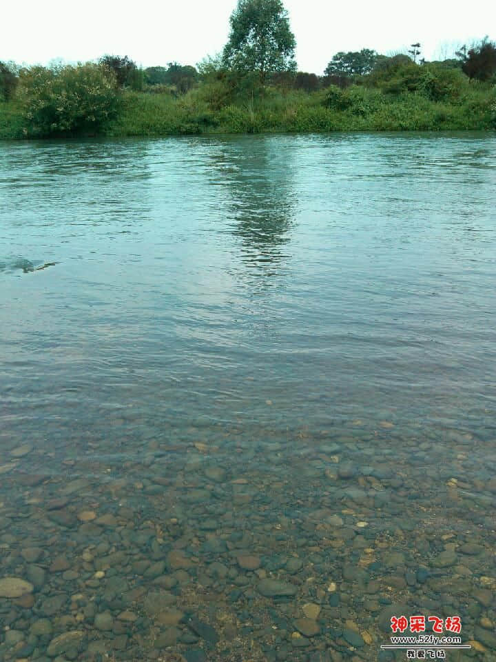 IMG_20120812_104844.jpg