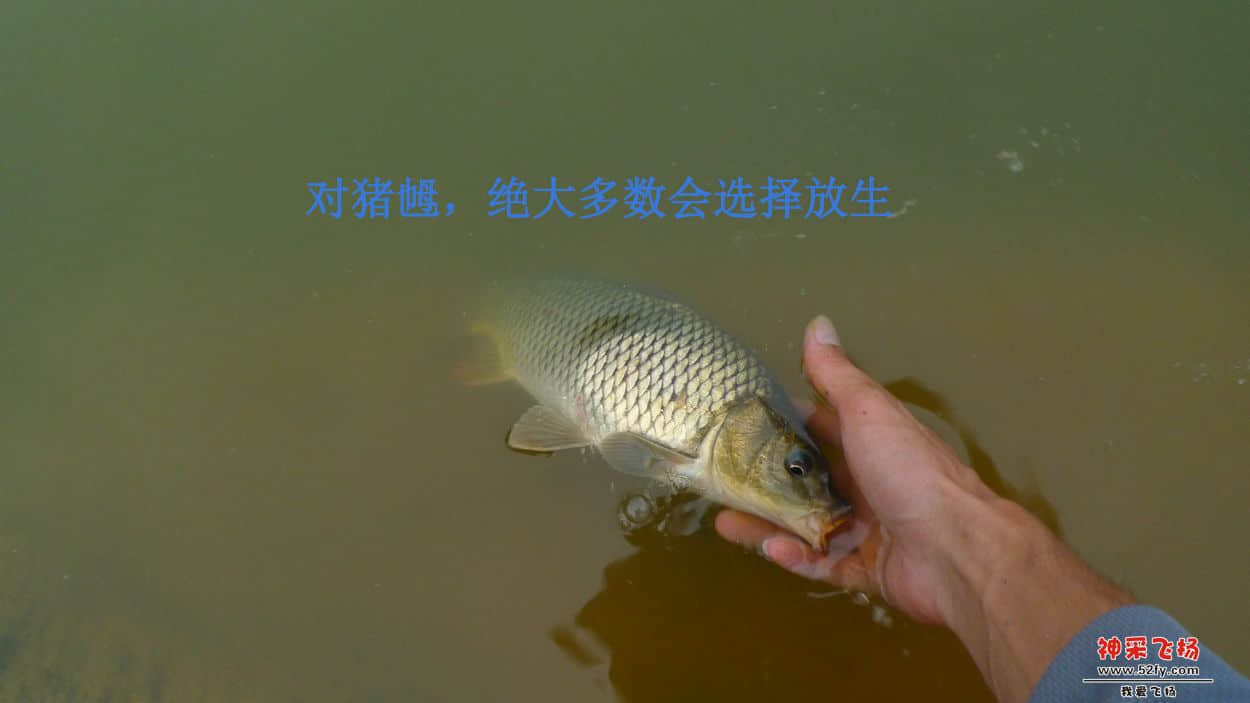 17副本.jpg