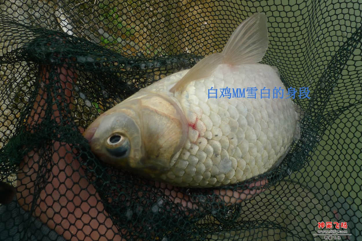 08副本.jpg