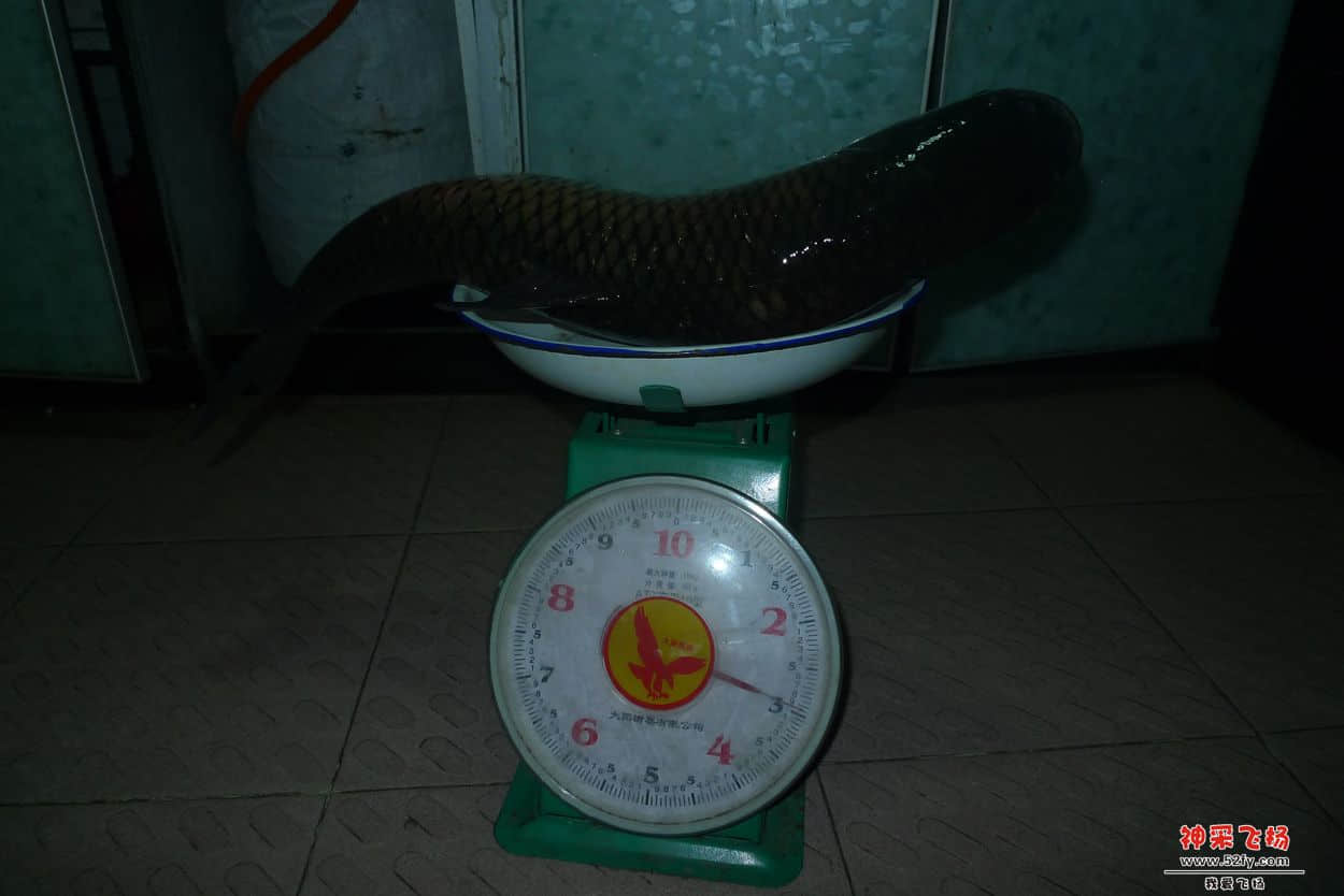 09.JPG