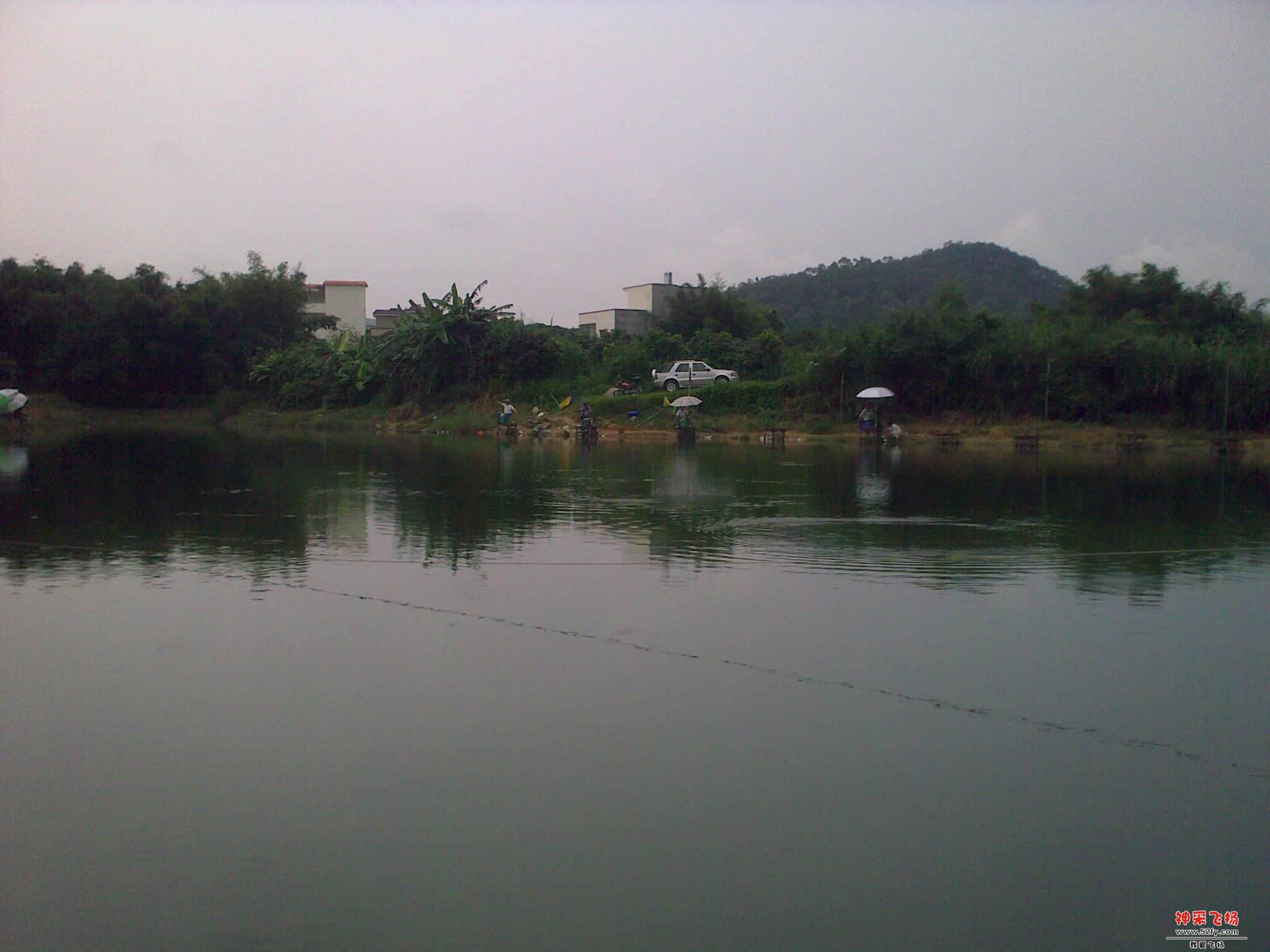 01.jpg