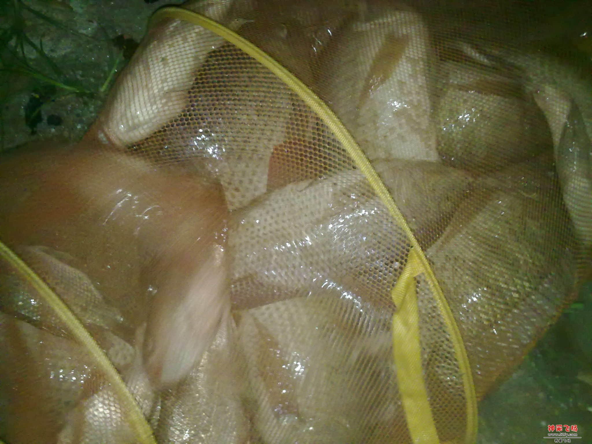 20120625043.jpg
