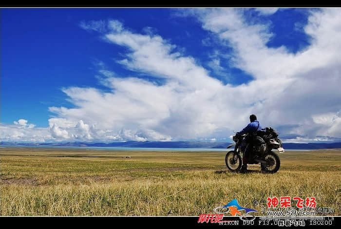 234511pv5yl6y1553t331x.jpg