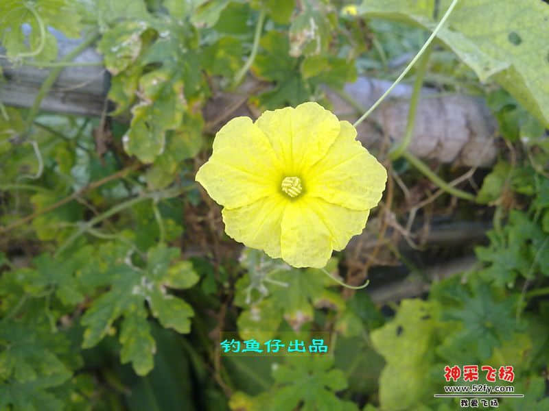 nEO_IMG_201208141971.jpg