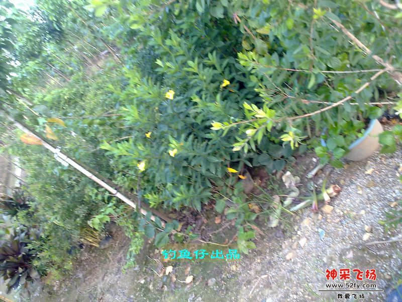 nEO_IMG_201208141976.jpg
