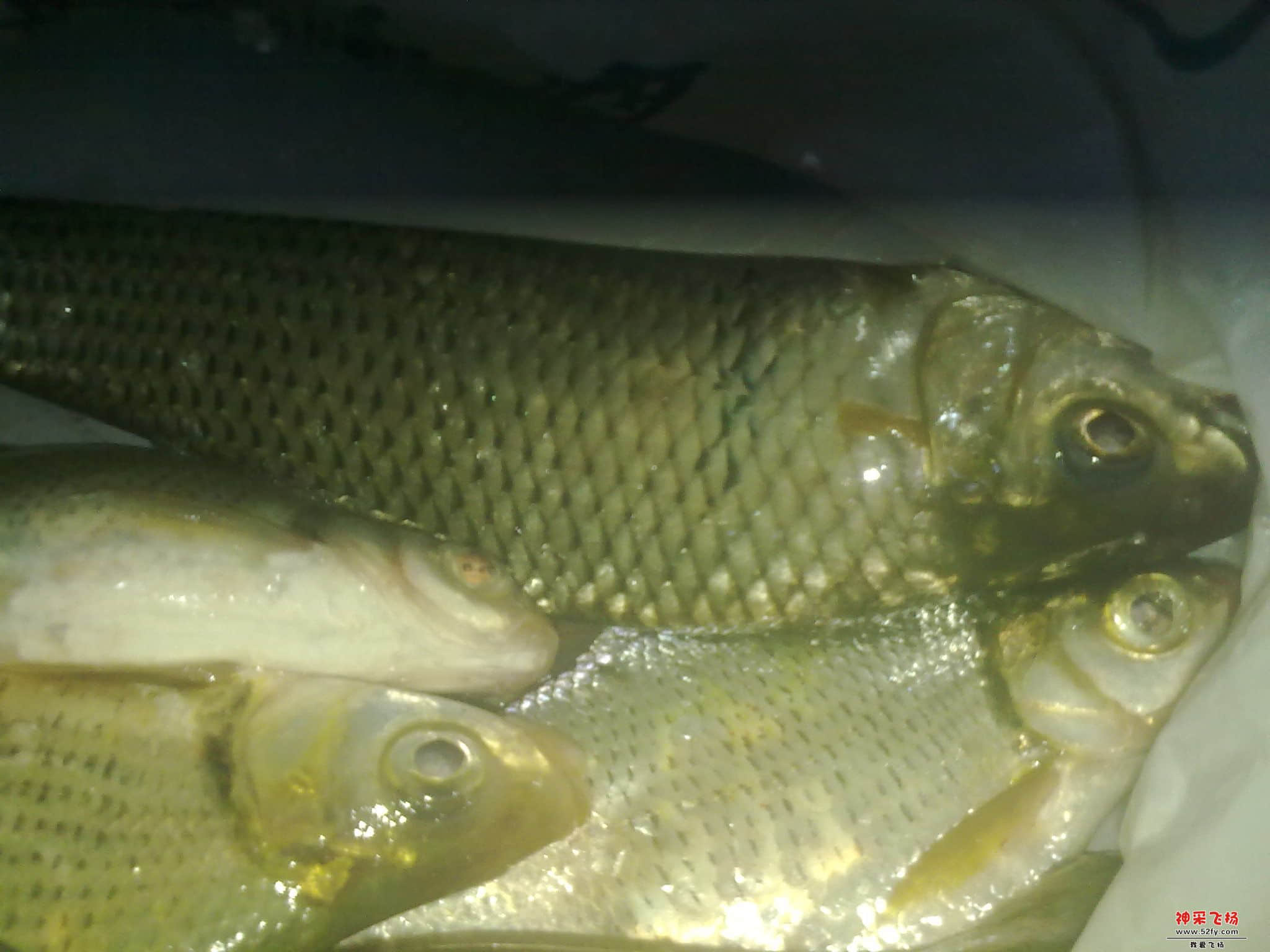20120819079.jpg