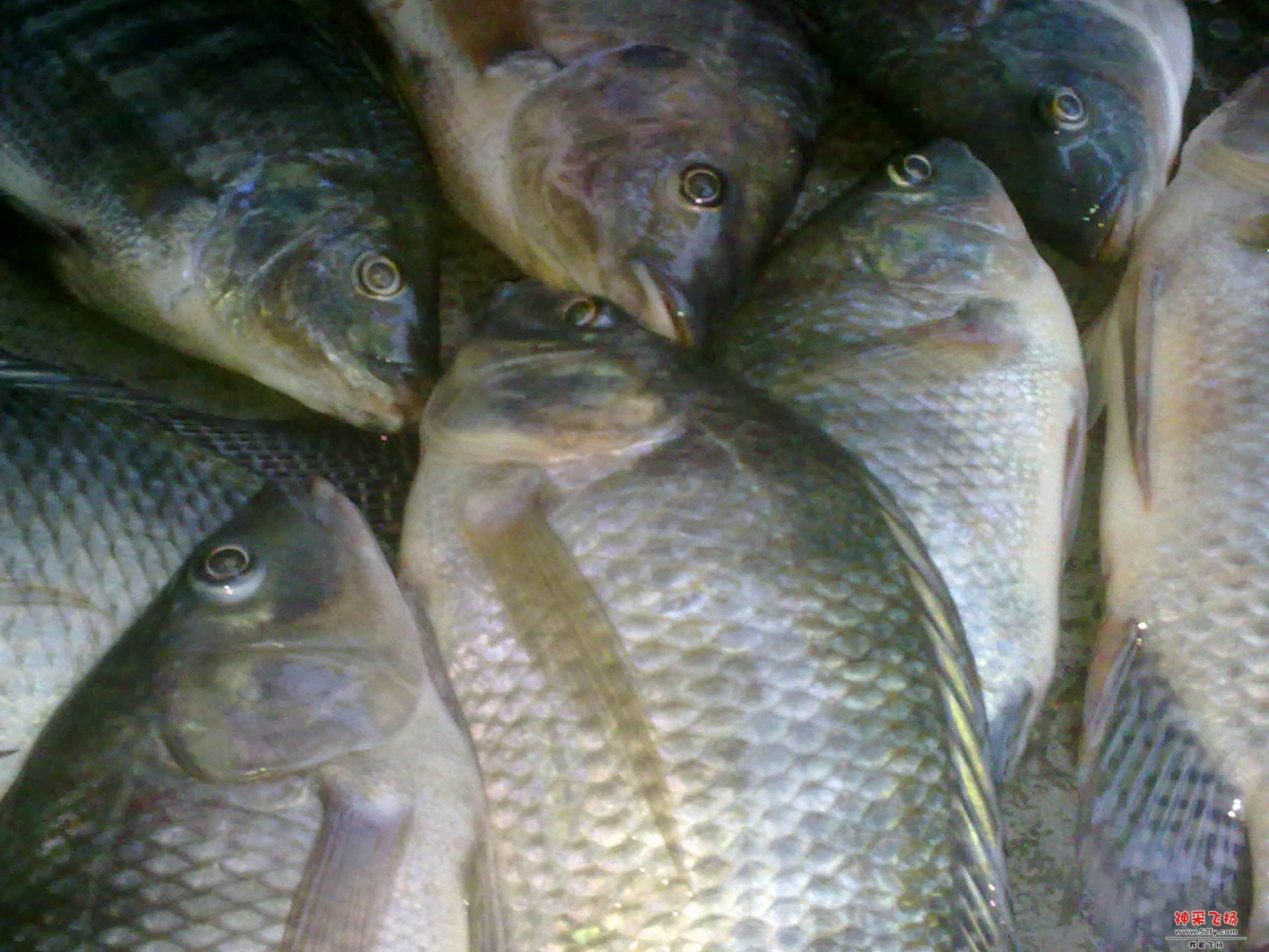 20120823087.jpg