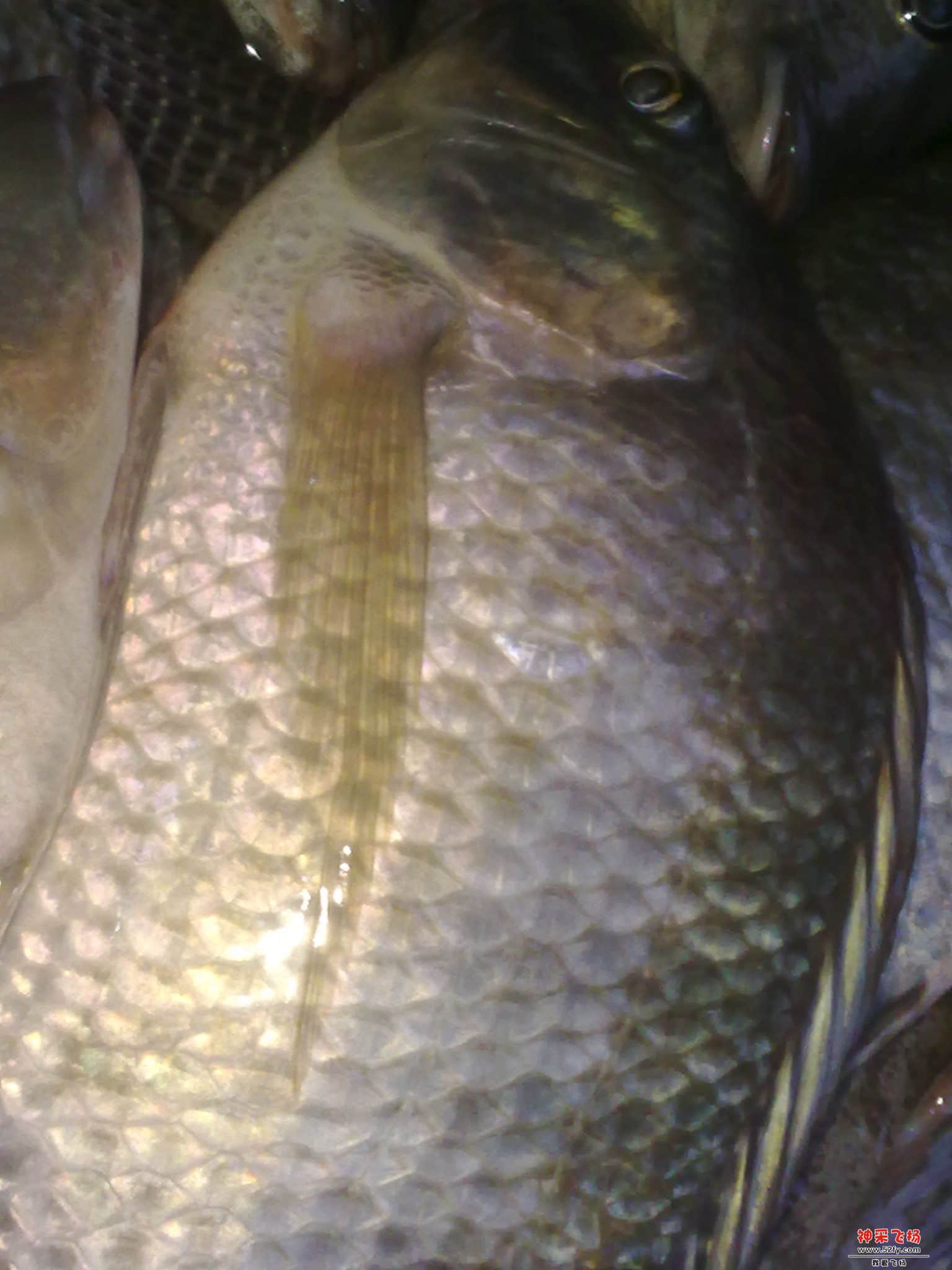 20120823088.jpg