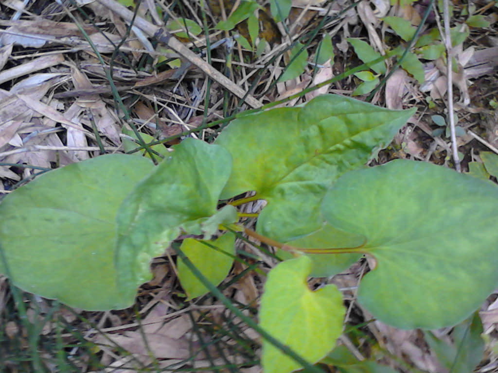 IMG_20120825_093905.jpg