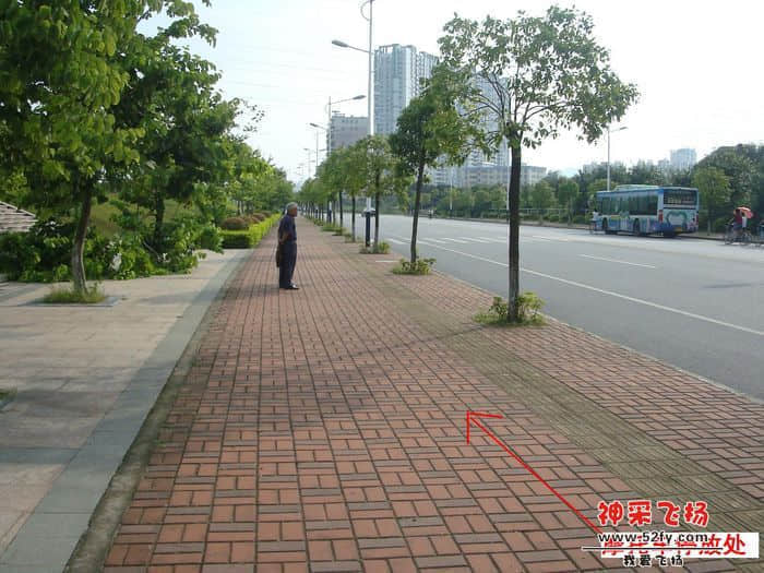 nEO_IMG_DSC09028.jpg