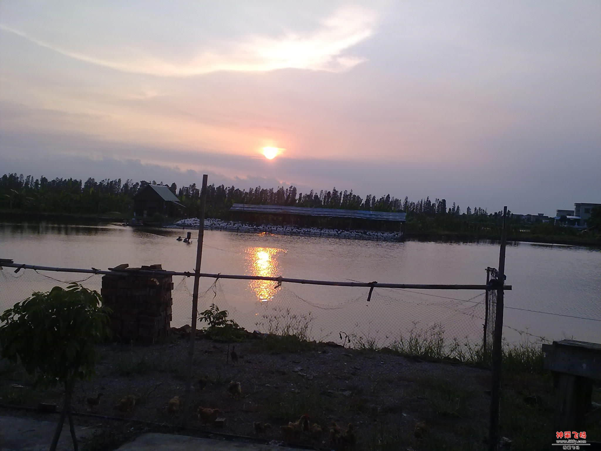 201208141970.jpg