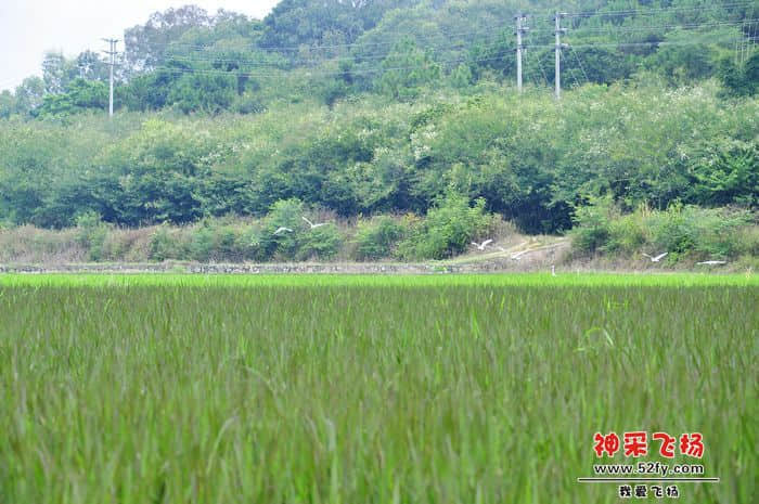 照片 019.jpg