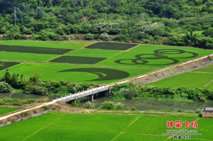 照片 107.jpg