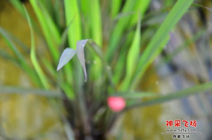 照片 031.jpg