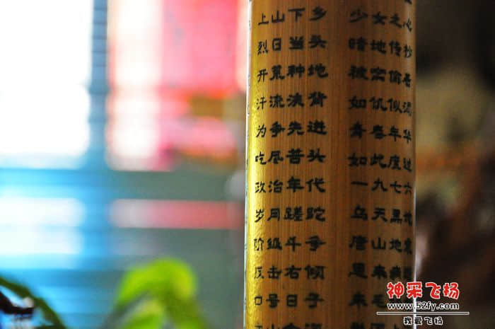 照片 037.jpg