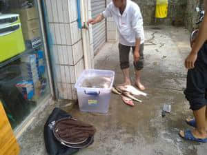 调整大小 201209081684.jpg