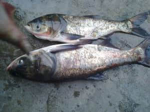 调整大小 201209081685.jpg
