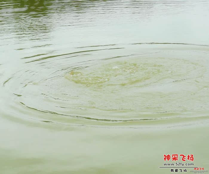 233515z5pddazdzrqpf1zc.jpg