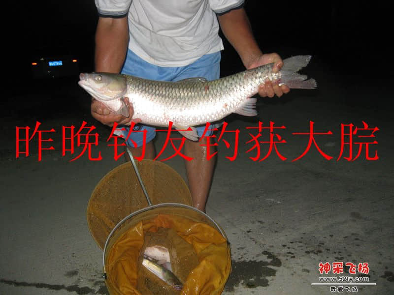 IMG_1639_副本.jpg
