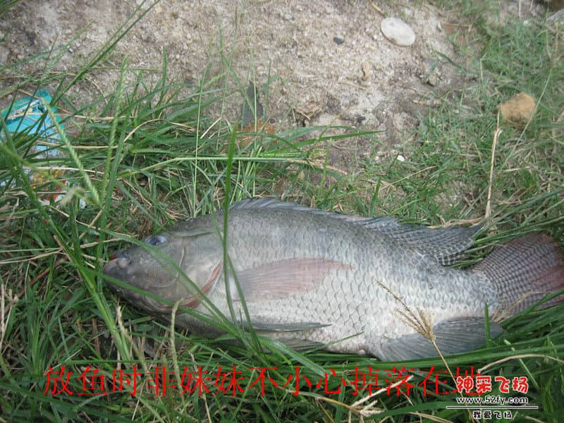 IMG_1648_副本.jpg