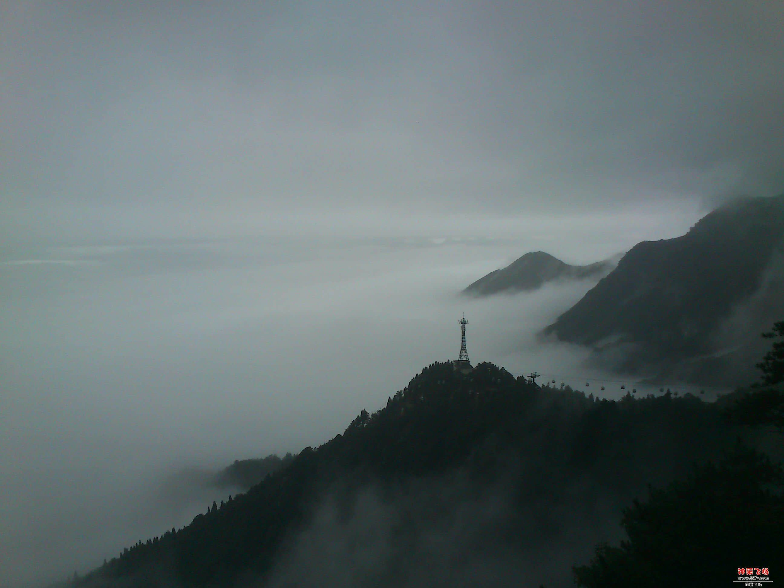 DSC_8942.JPG