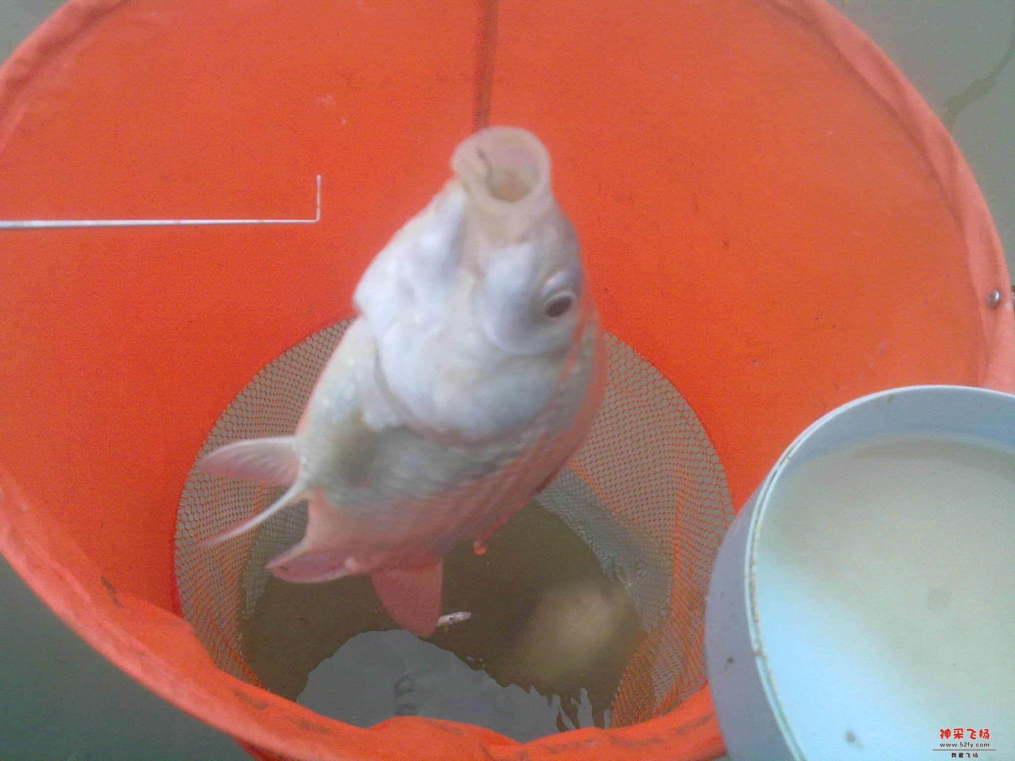 20120926182.jpg