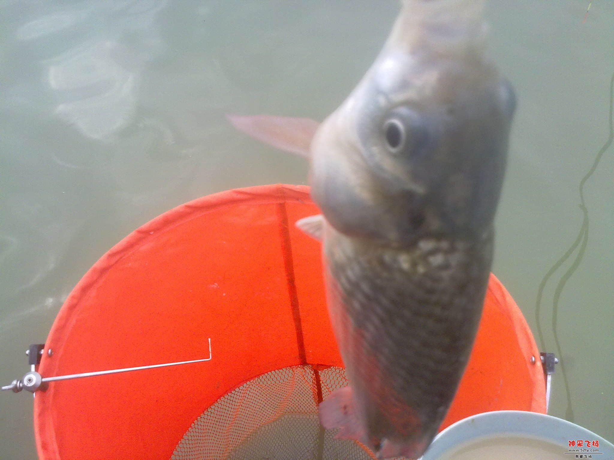 20120926183.jpg