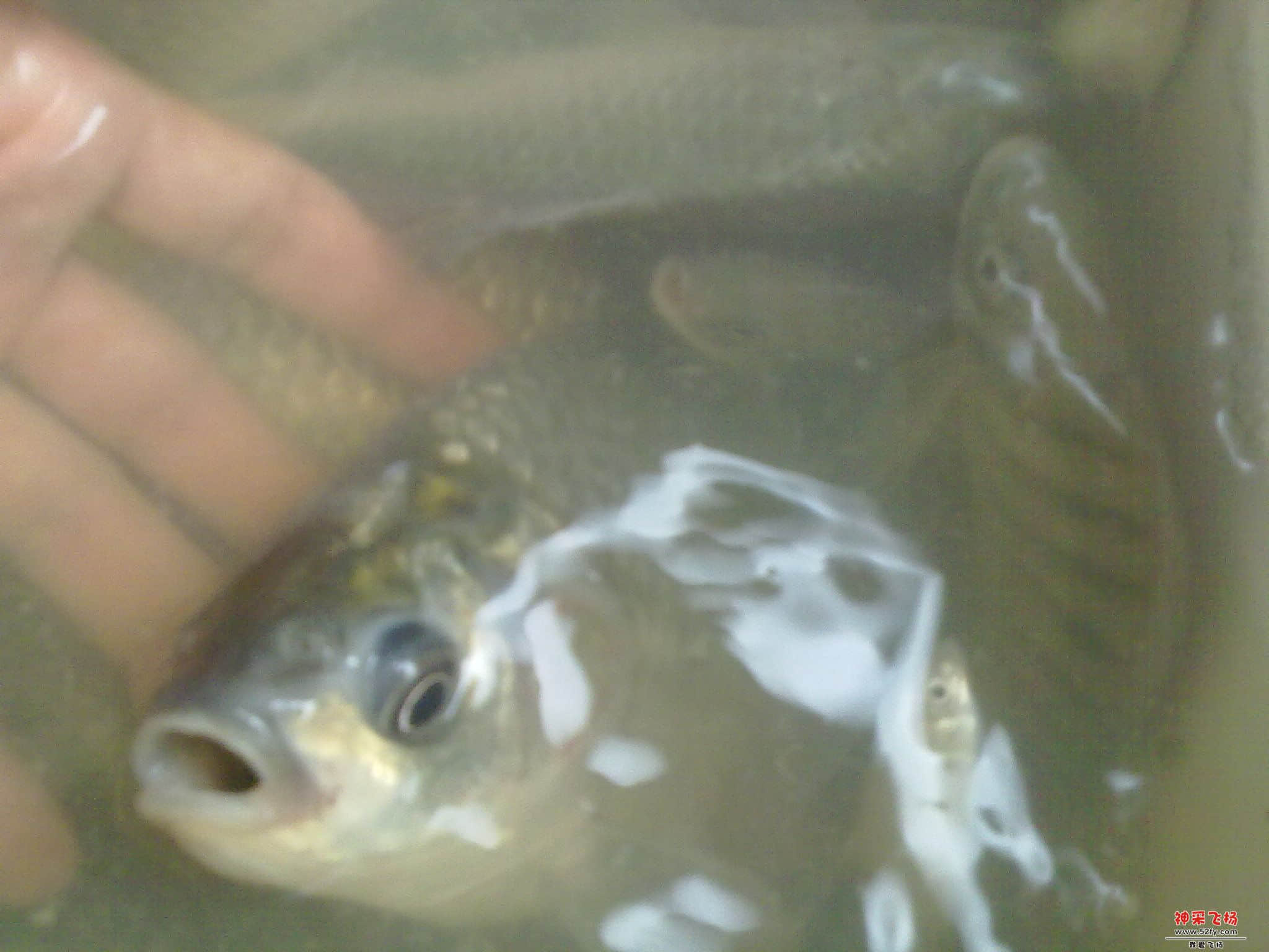 20120926186.jpg