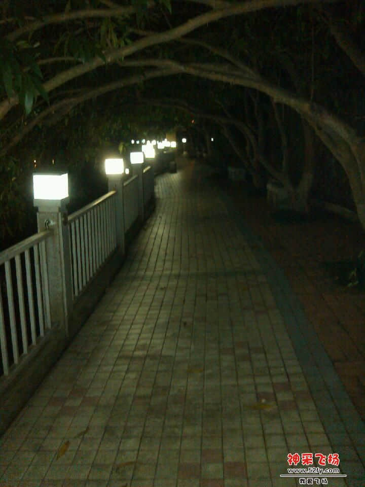 IMG_20120926_221946.jpg